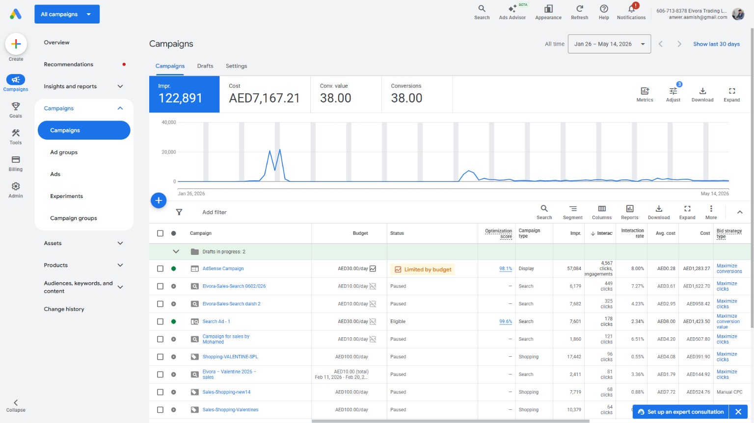 Google Ads Campaign Performance