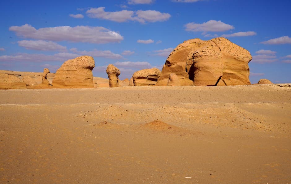 Dunes to Downtown: Exploring the Wonders with Elite Horizon Tourism