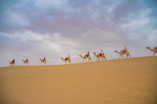 Top 5 Desert Safari Experiences in Dubai: A Blend of Adventure and Culture