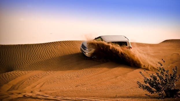 Experience the Magic of Dubai Morning Desert Safari
