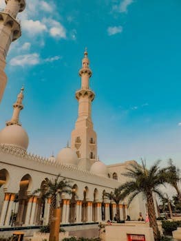 Website Development in Dubai and Abu Dhabi