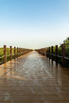 Eco-Friendly Cleaning Qatar