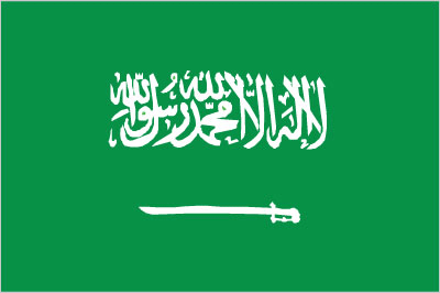 Flag of Saudi Arabia, representing our client base in Saudi Arabia